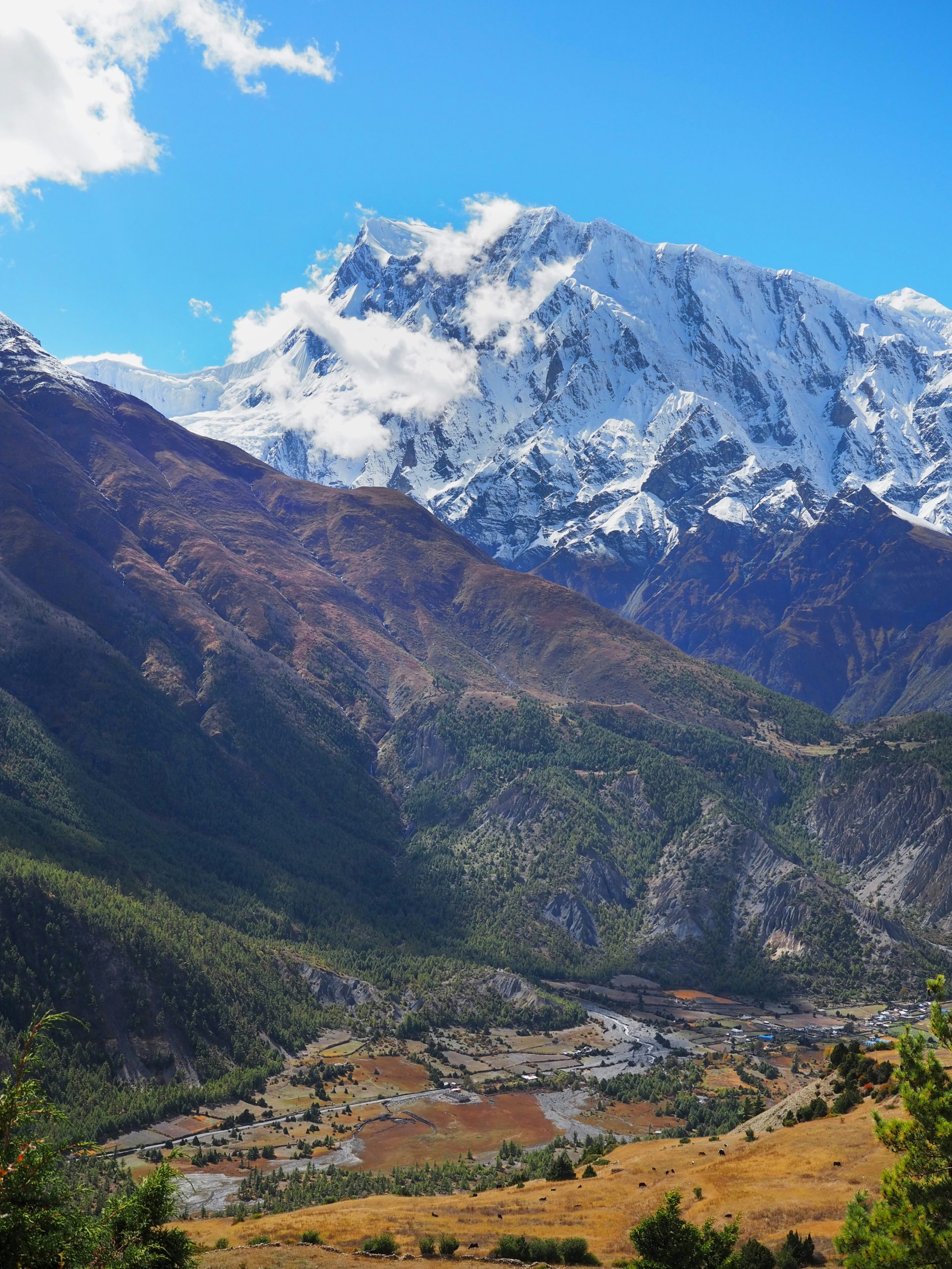Gosaikunda and Surya Peak Trek via Sundarijal – 8 Days Adventure