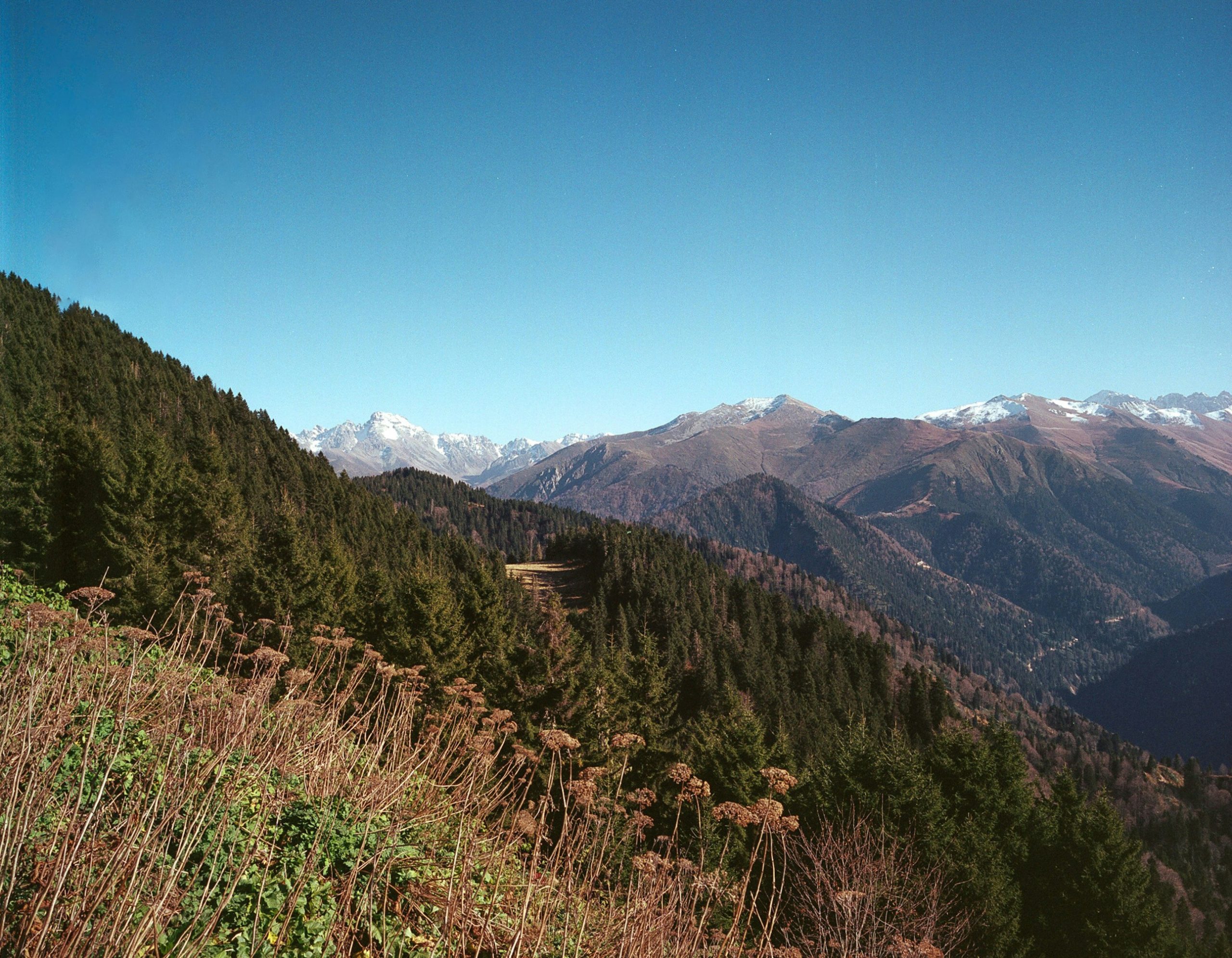 Gosaikunda and Surya Peak Trek via Sundarijal – 8 Days Adventure